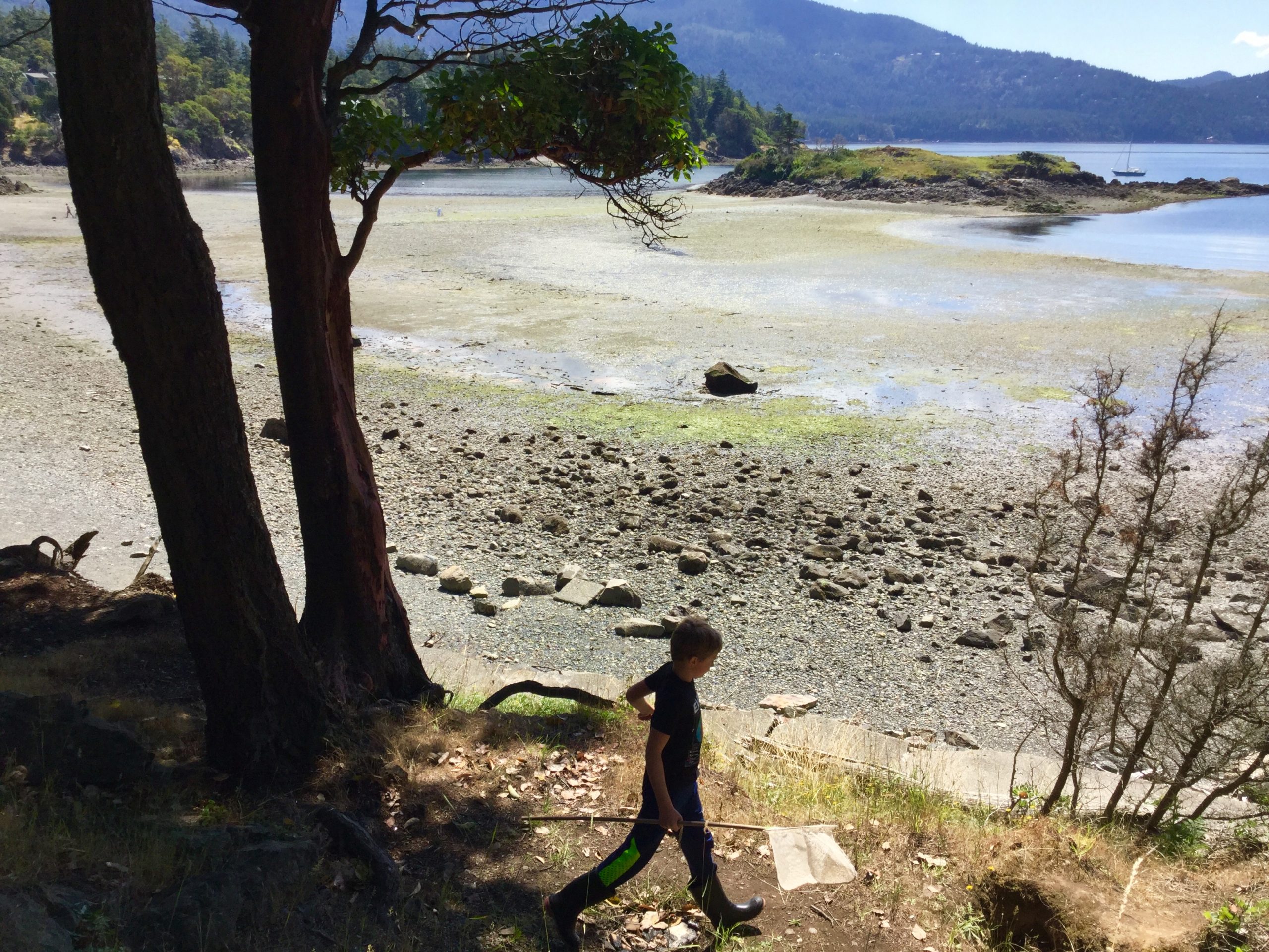 Low Tide Joy Life on Orcas Island
