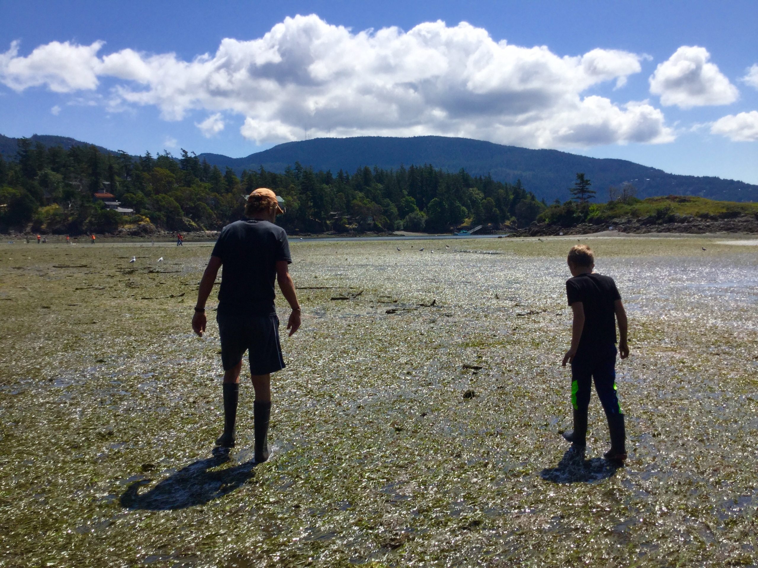 Low Tide Joy Life on Orcas Island