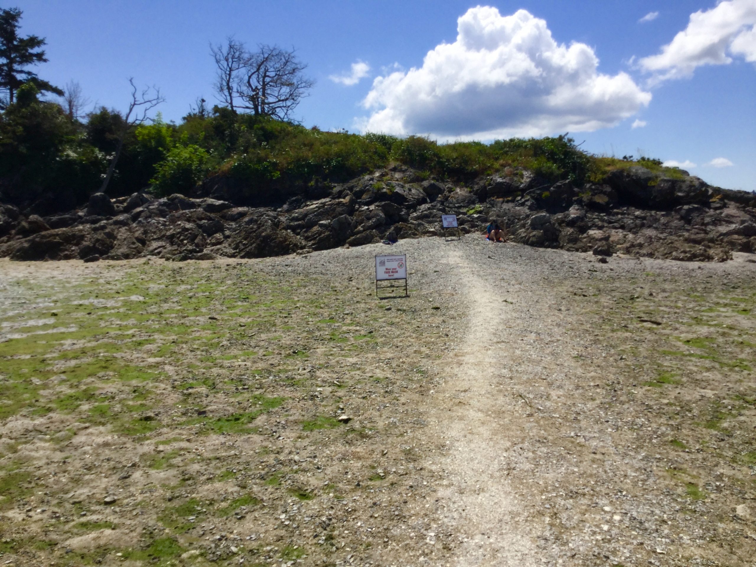 Low Tide Joy Life on Orcas Island