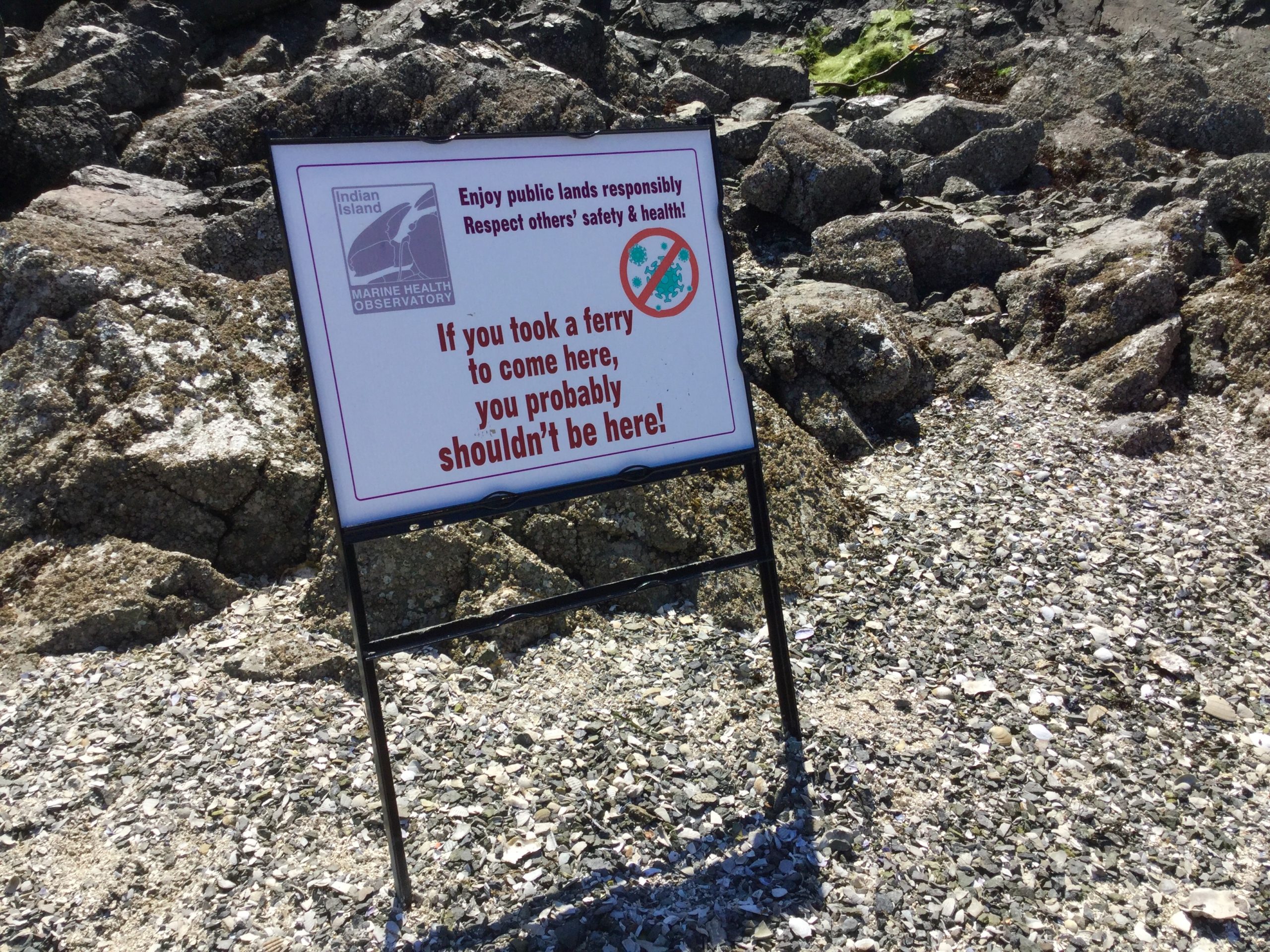 Low Tide Joy Life on Orcas Island