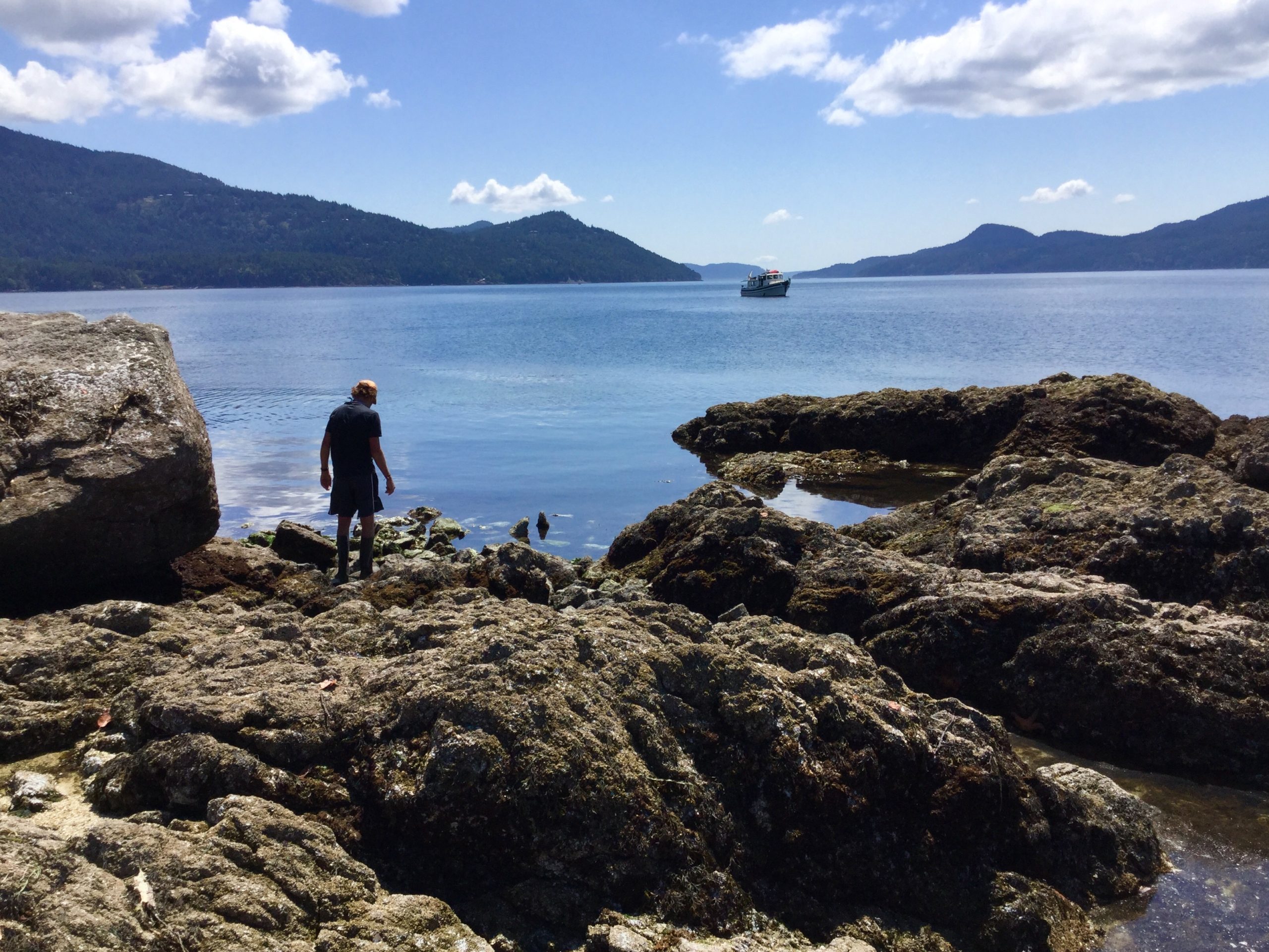 Low Tide Joy Life on Orcas Island