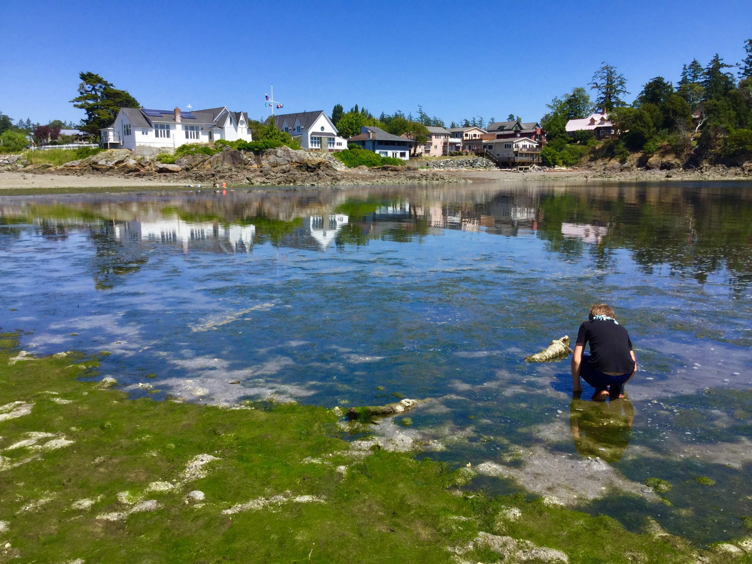 Low Tide Joy Life on Orcas Island