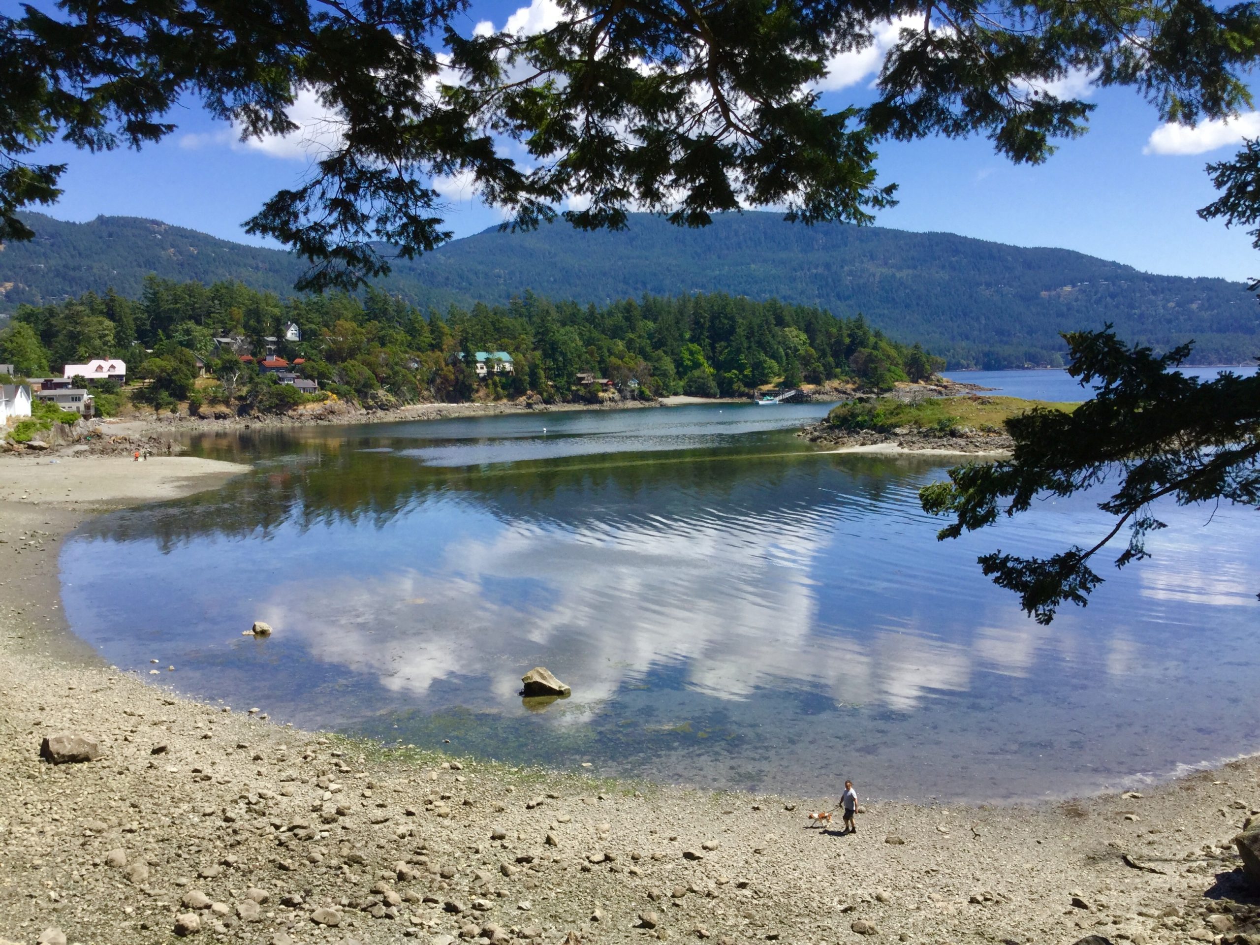 Low Tide Joy Life on Orcas Island