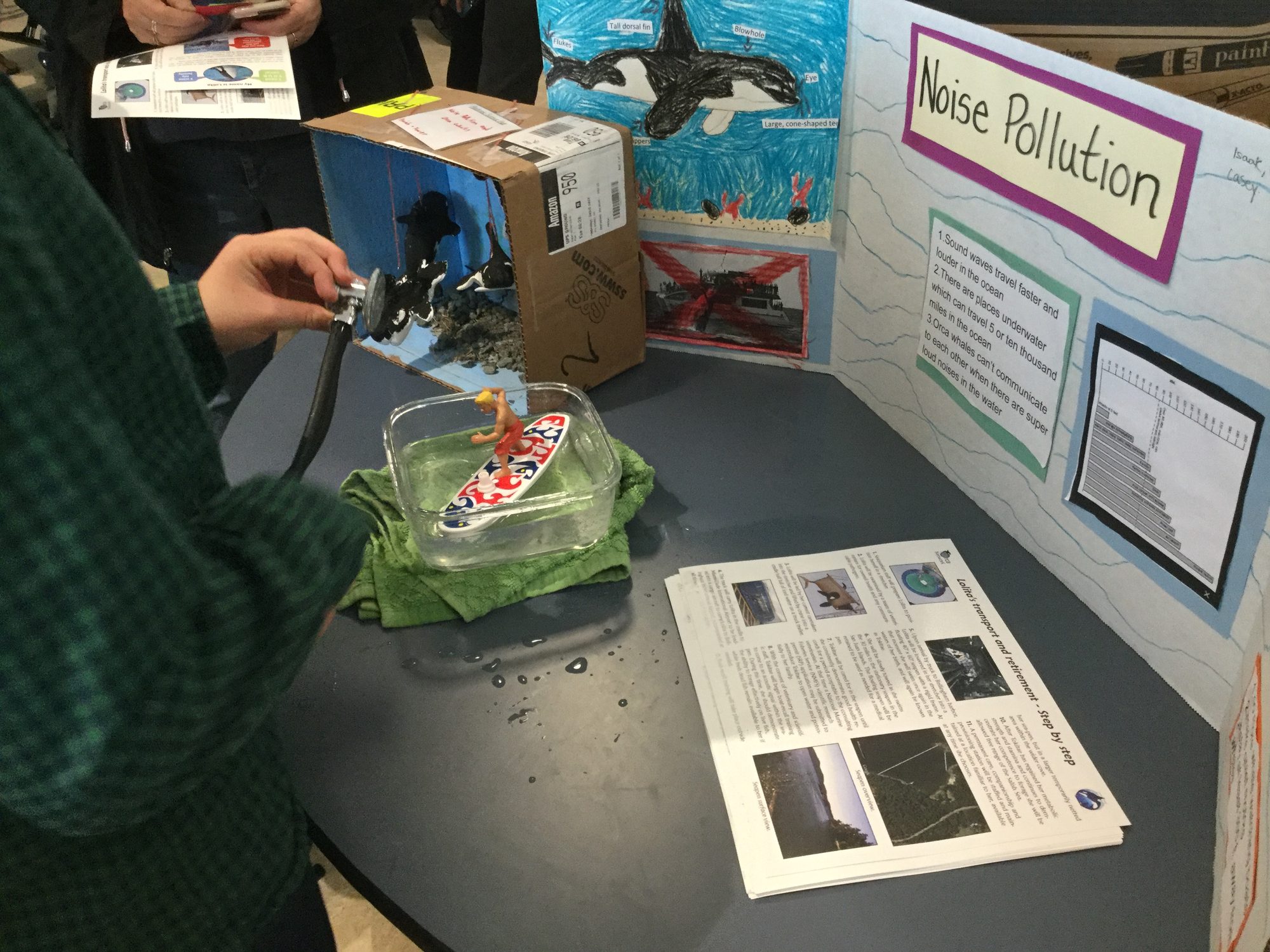 Simcoe Science Fair Annual Science Fair - Life on Orcas Island