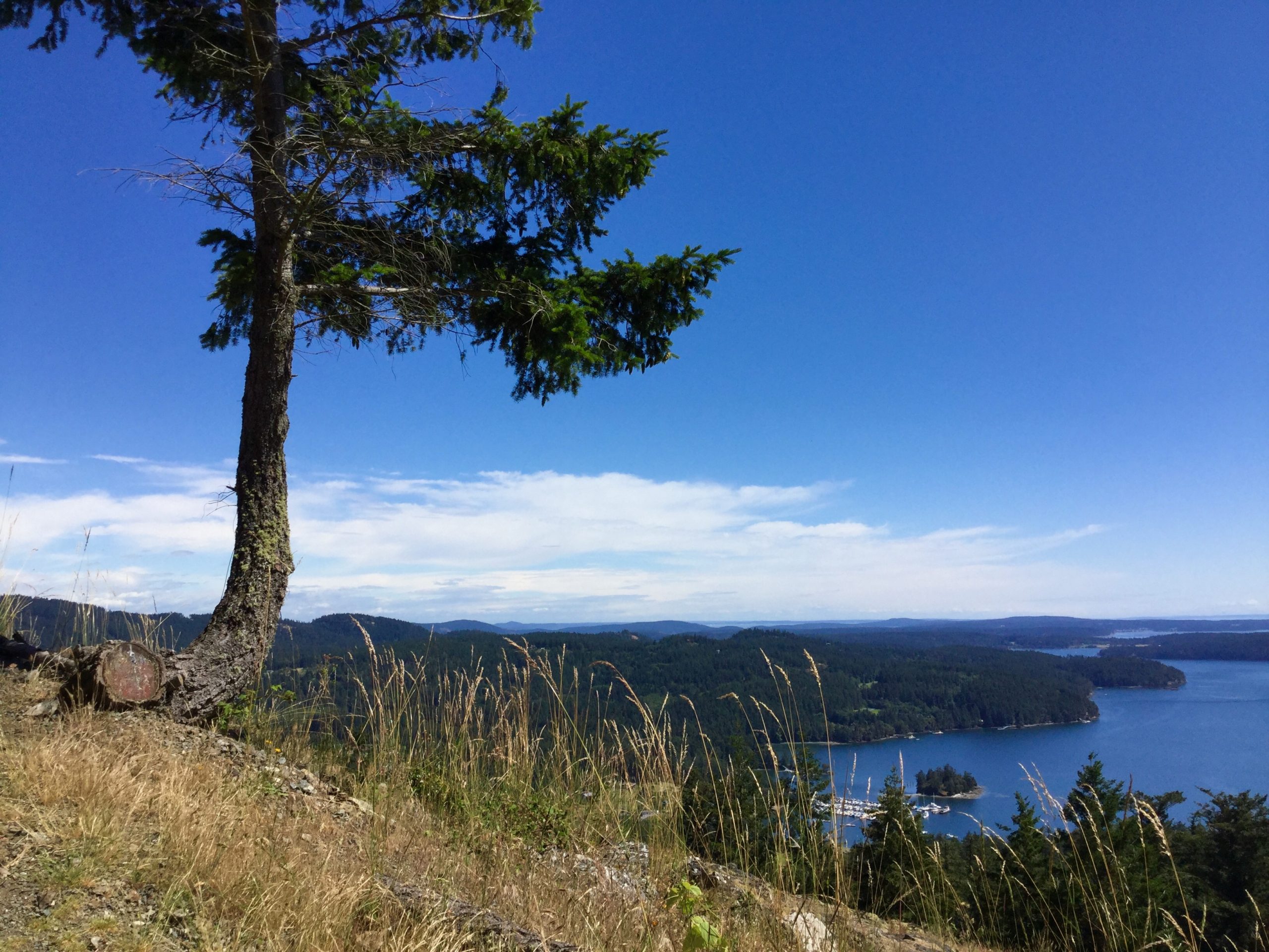 Hiking Up to Ship Peak - Life on Orcas Island