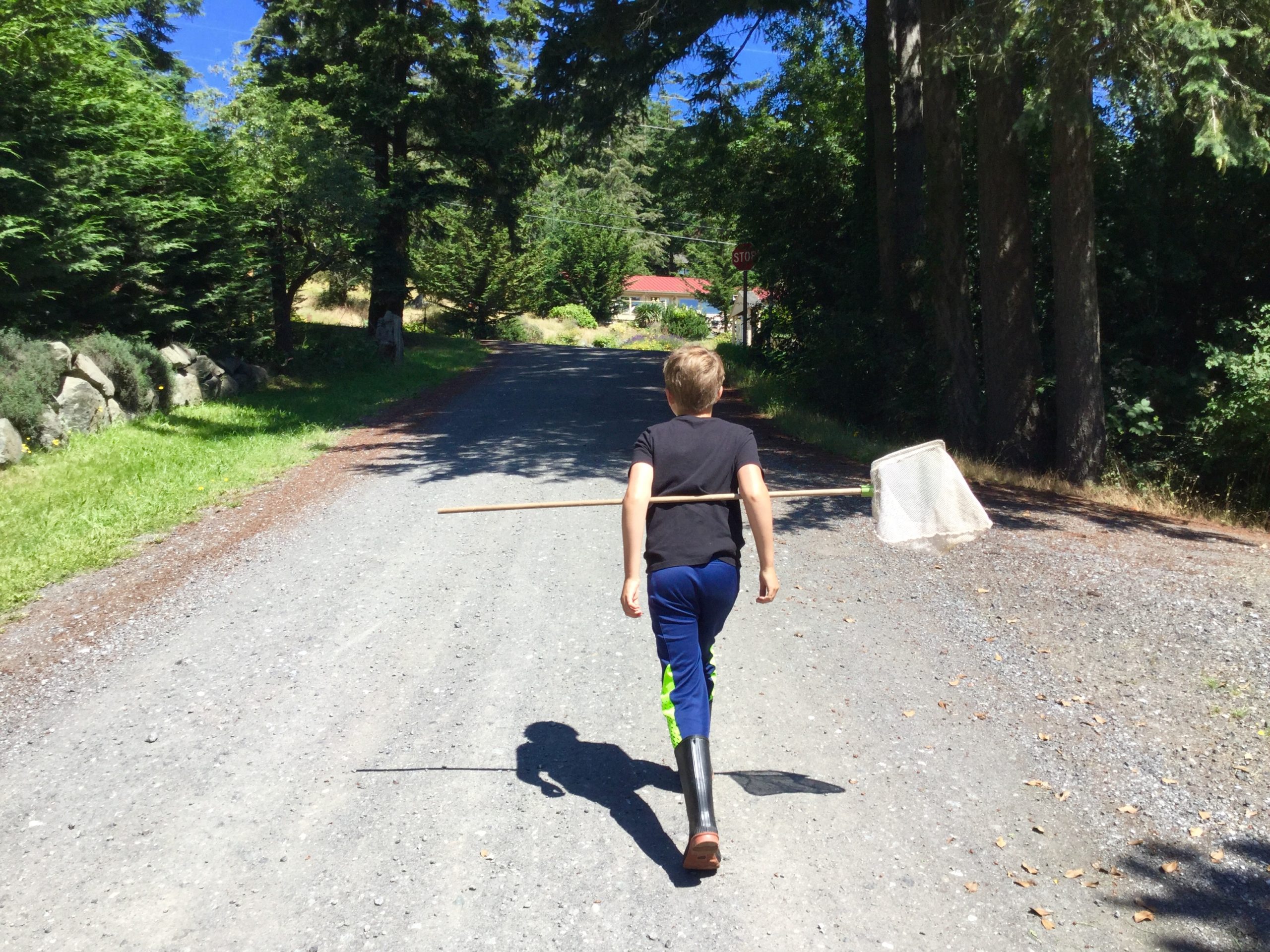 Low Tide Joy Life on Orcas Island