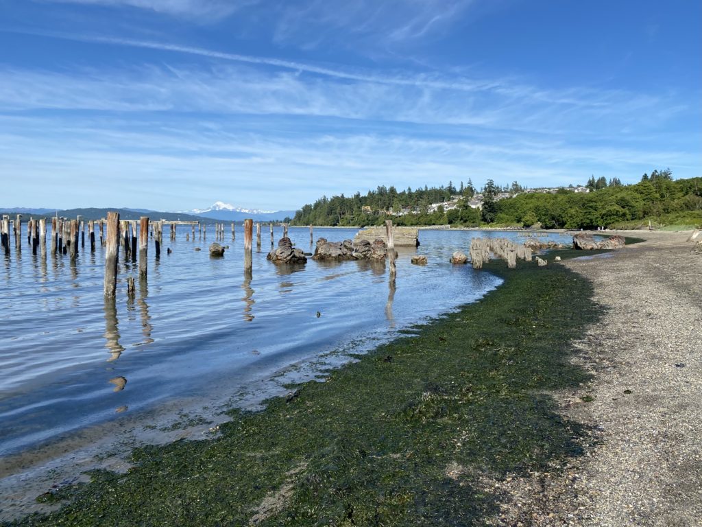 Waiting For The Ferry In Anacortes Life On Orcas Island   IMG 9342 1024x768 